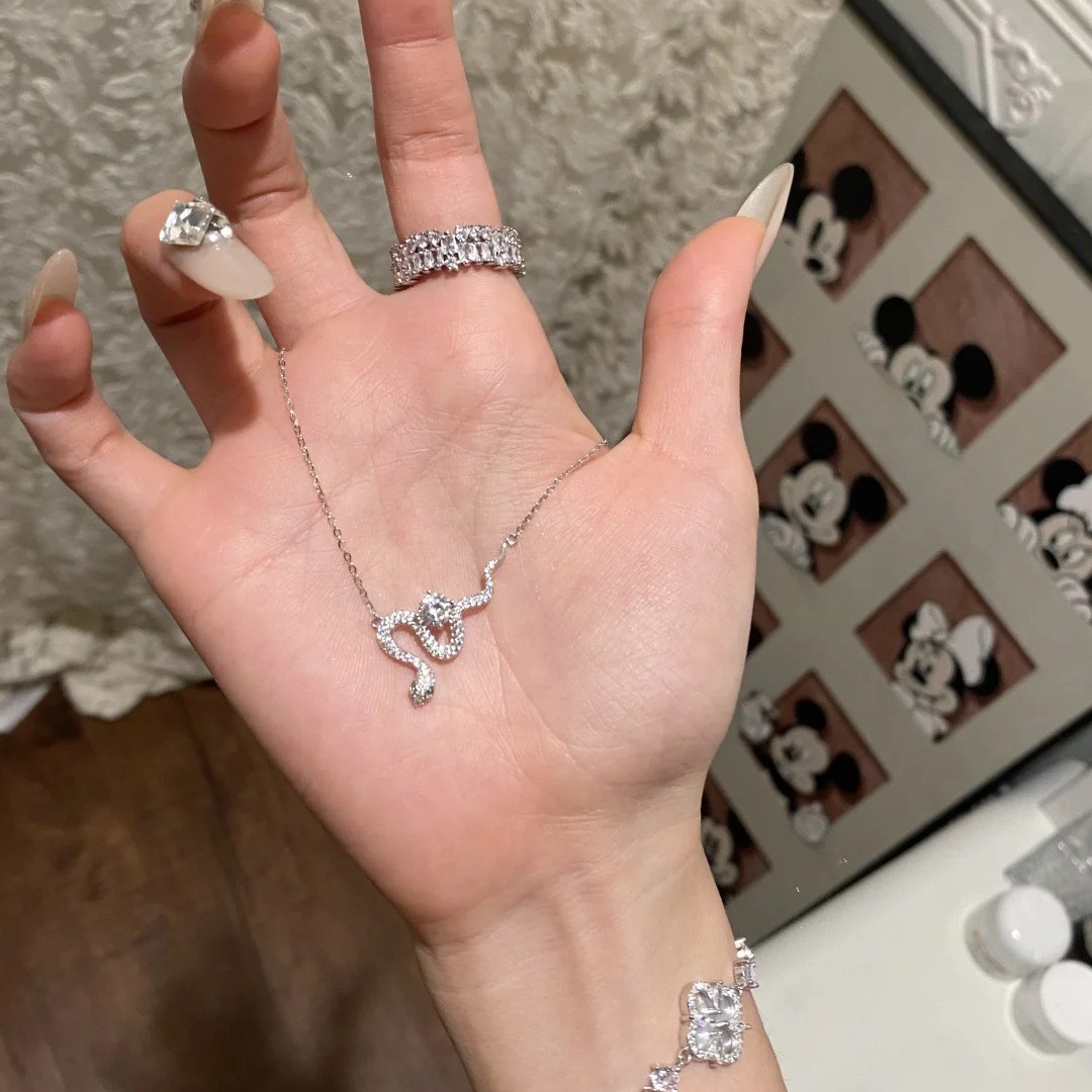 2025 Lightweight Luxury Serpent Wrap Necklace for Women, Exquisite Pure Silver Collarbone Chain, High-End Fashion Accessory 2025 Lightweight Luxury Serpent Wrap Necklace for Women, Exquisite Pure Silver Collarbone Chain, High-End Fashion Accessory