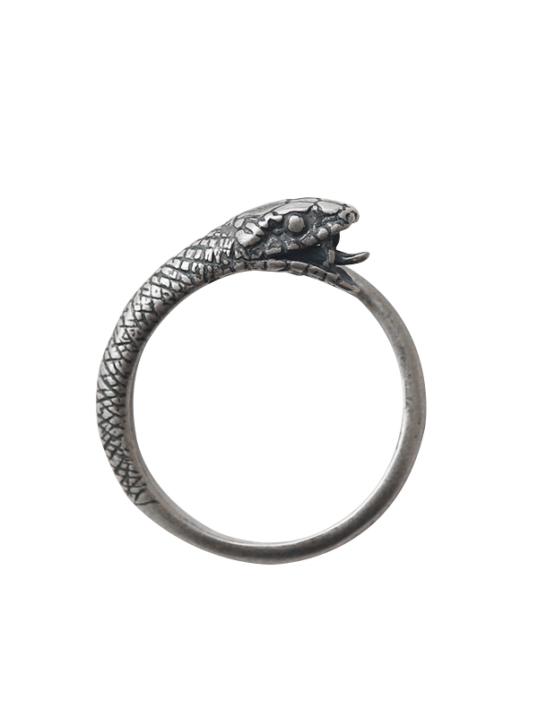 925 Sterling Silver Vintage Ouroboros Snake Ring - Antique Finish Infinite Symbol Jewelry in Dark Style 925 Sterling Silver Vintage Ouroboros Snake Ring - Antique Finish Infinite Symbol Jewelry in Dark Style