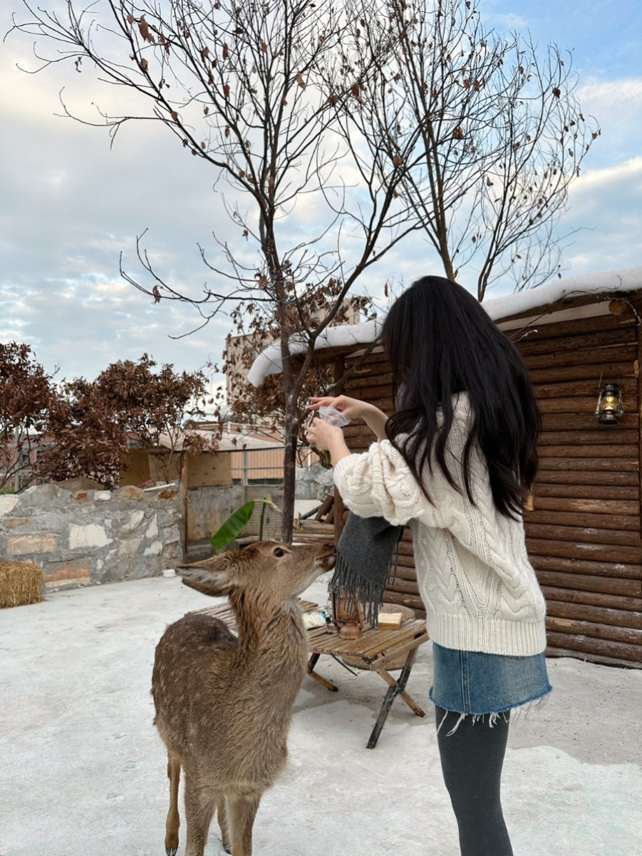 Chunky Knit Sweater for Women | 40% Wool 10% Cashmere | Casual Holiday Style | Cozy Winter Fashion Chunky Knit Sweater for Women | 40% Wool 10% Cashmere | Casual Holiday Style | Cozy Winter Fashion