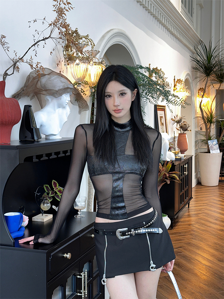 Eccentric Sheer Hollowed-Out Mesh Long-Sleeve T-Shirt for Women - Slim Fit Autumn Fashion Top Eccentric Sheer Hollowed-Out Mesh Long-Sleeve T-Shirt for Women - Slim Fit Autumn Fashion Top