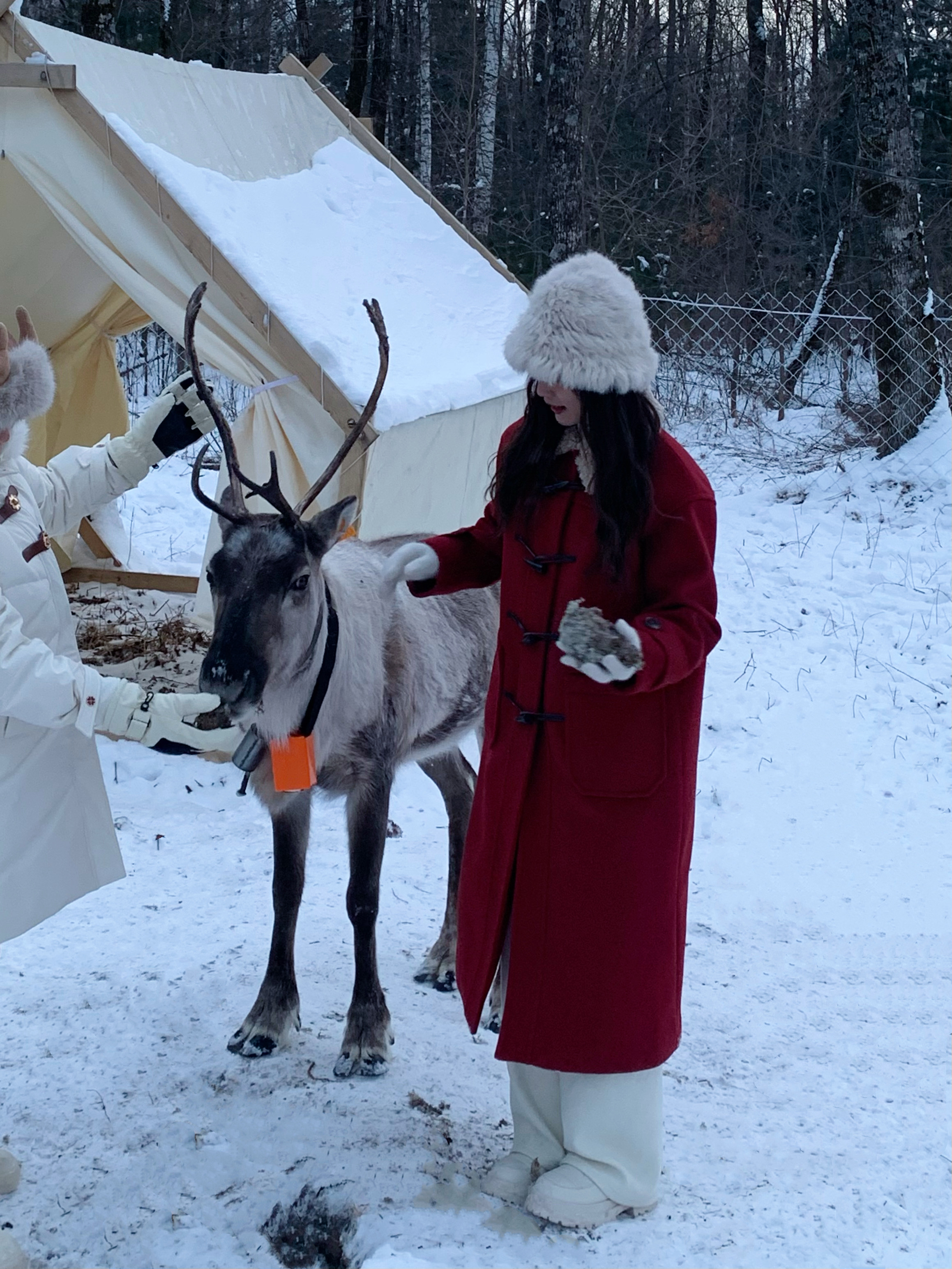 High-End Chinese Style Thick Red Woolen Coat for Women - Slimming Winter Outfit for Christmas Celebrations High-End Chinese Style Thick Red Woolen Coat for Women - Slimming Winter Outfit for Christmas Celebrations