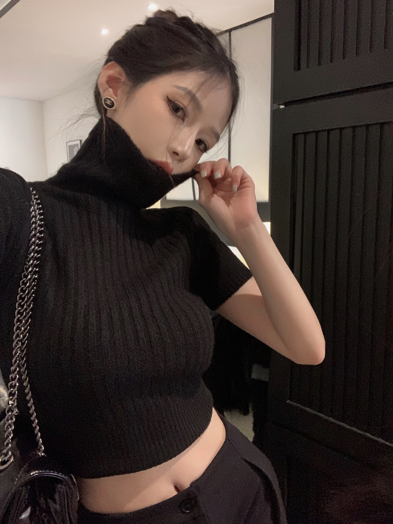 High-Neck Cropped Sweater for Women - Fitted Slimming Thick Knit Top, Autumn Winter Niche Style, Short Sleeve Fashion
