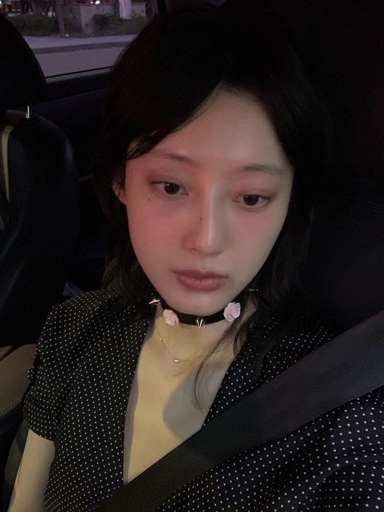 Millennial Spicy Girl Rivet Rose Choker Leather Collar - Rock Punk Heavy-Duty Clavicle Chain, Korean Niche Design Millennial Spicy Girl Rivet Rose Choker Leather Collar - Rock Punk Heavy-Duty Clavicle Chain, Korean Niche Design