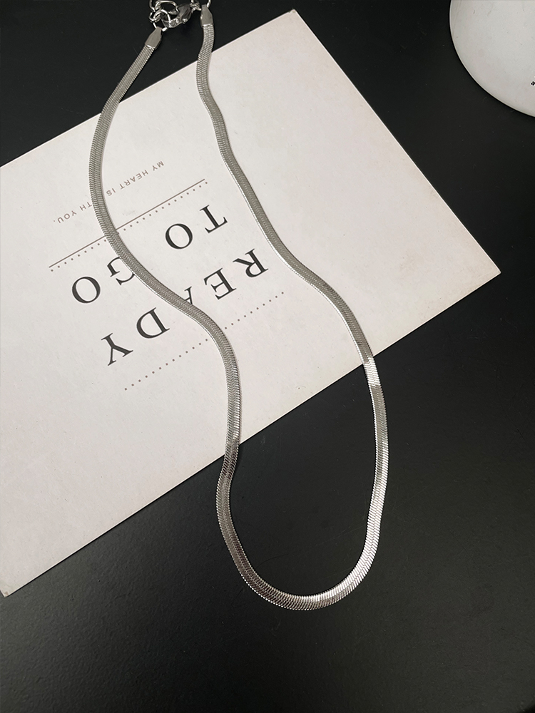 Minimalist Versatile Snake Chain Necklace for Women - Titanium Steel, Colorfast Snake Bone Design, Chic Clavicle Chain Accessory
