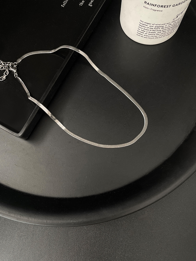 Minimalist Versatile Snake Chain Necklace for Women - Titanium Steel, Colorfast Snake Bone Design, Chic Clavicle Chain Accessory Minimalist Versatile Snake Chain Necklace for Women - Titanium Steel, Colorfast Snake Bone Design, Chic Clavicle Chain Accessory