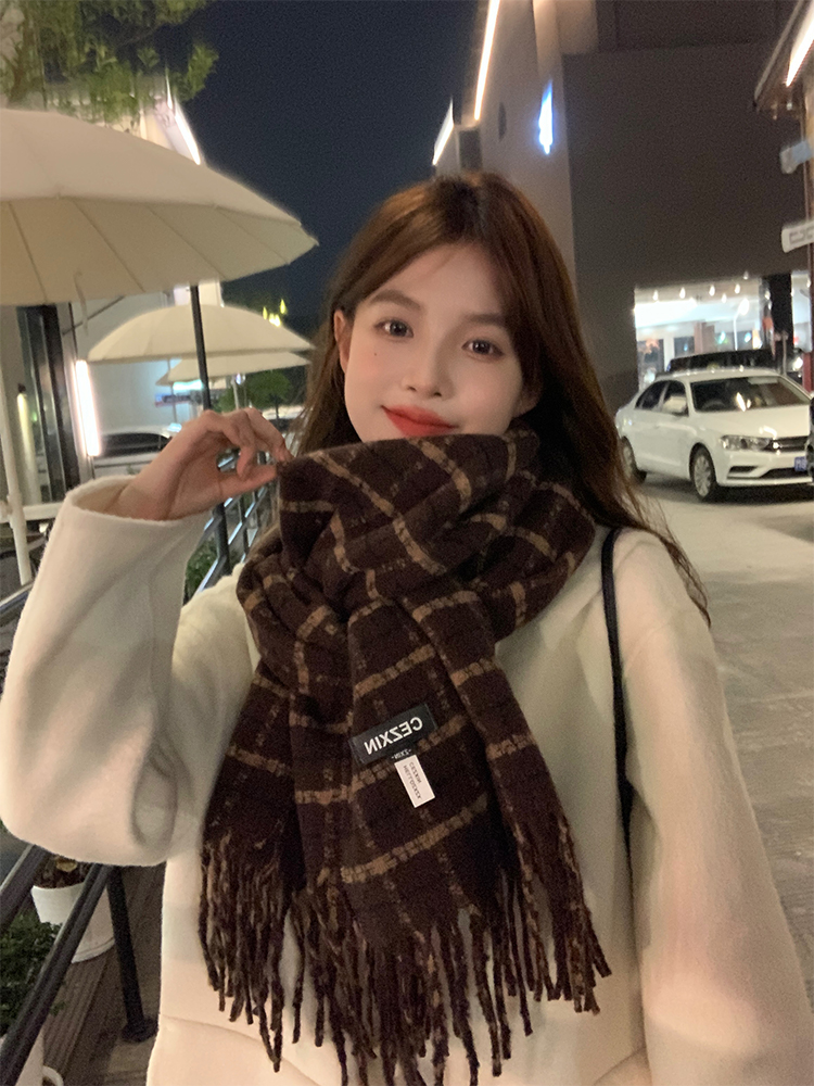 Plaid Scarf for Women - My Head Is Not Round Vintage Fringed Neck Warmer, Thick Warm Shawl, 2025 Winter Fashion Accessory