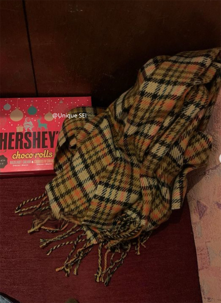 Retro Plaid Scarf with Tassel Neck Warmer - Unique Winter Atmosphere Casual Style for Bloggers