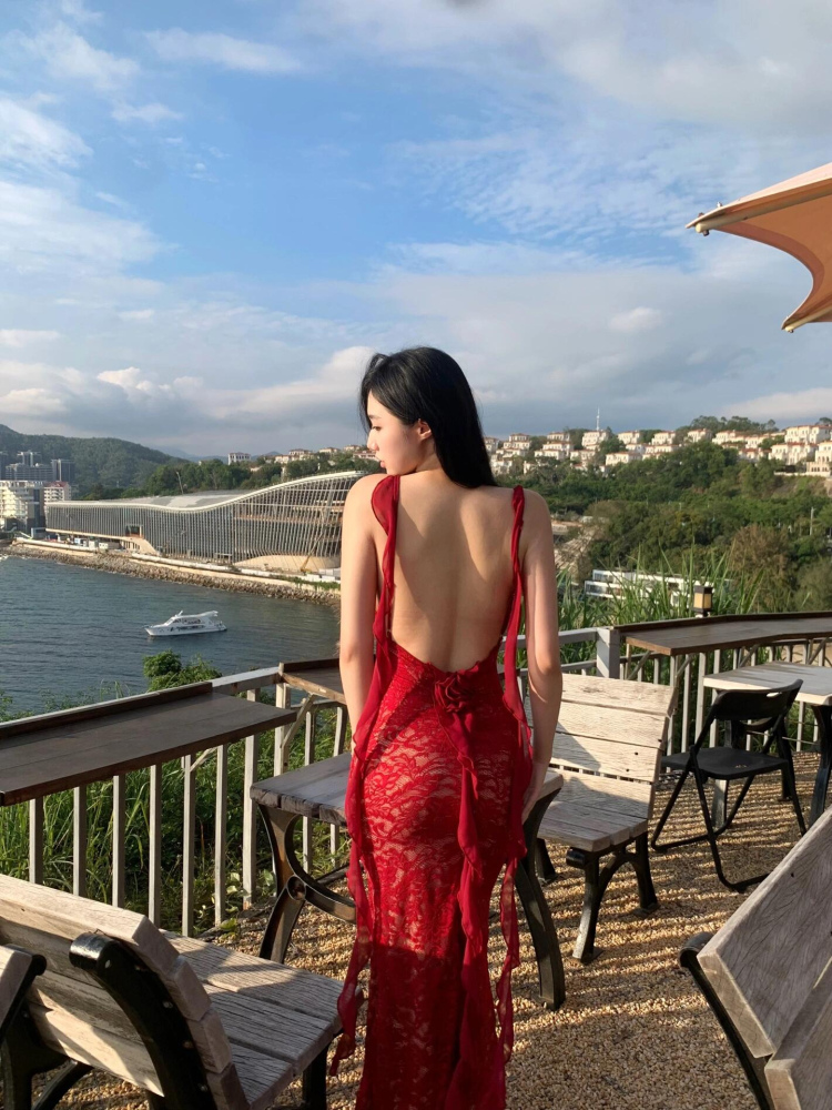 Sexy Lace Halter Backless Dress for Women - Slim Fit Sheer Bodycon Long Dress for Summer Vacation - European and American Style Sexy Lace Halter Backless Dress for Women - Slim Fit Sheer Bodycon Long Dress for Summer Vacation - European and American Style