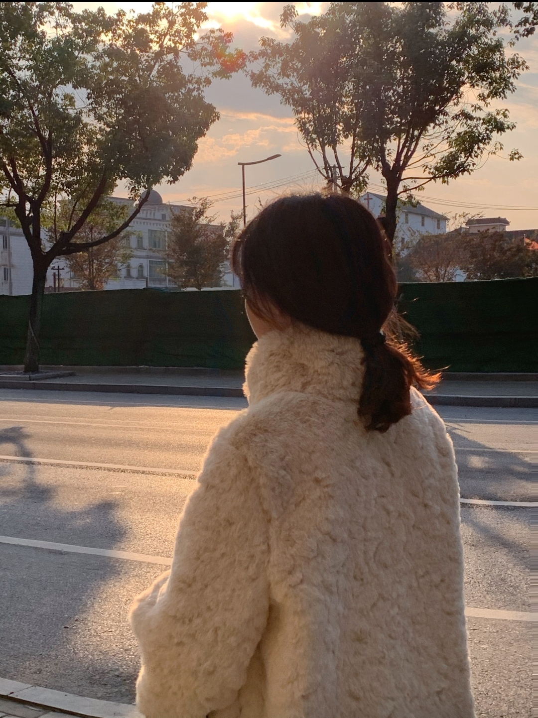 Soft and Fluffy Winter Coat for Women, High-End Lamb Wool with Horn Buttons and Faux Rabbit Fur, Chic and Warm Fashion Outerwear Soft and Fluffy Winter Coat for Women, High-End Lamb Wool with Horn Buttons and Faux Rabbit Fur, Chic and Warm Fashion Outerwear