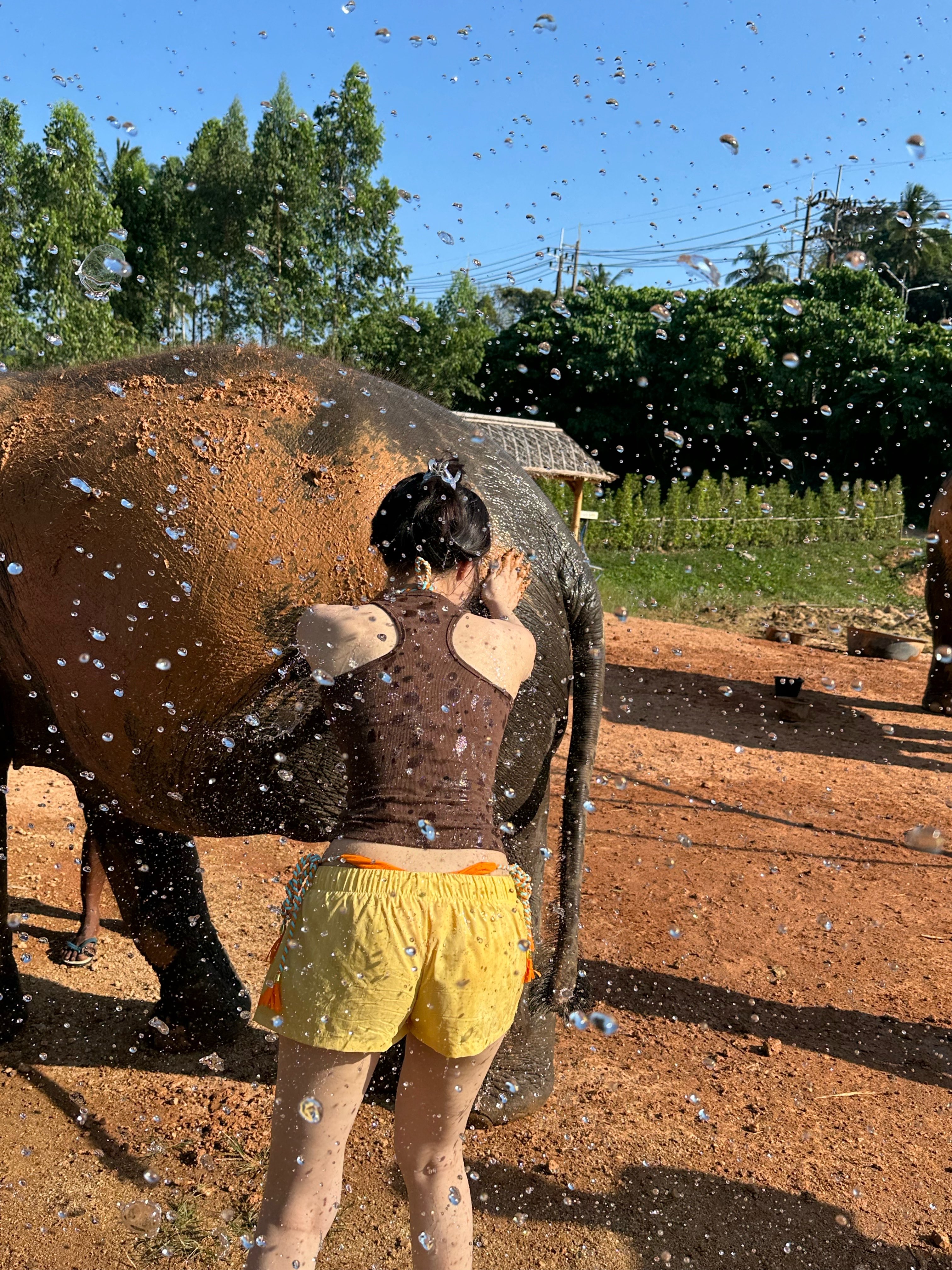 Sporty Girls' Easy-to-Wear Sports Shorts - Youthful & Playful, Available in 4 Colors, Perfect for Active Teens & 90s Inspired Style Sporty Girls' Easy-to-Wear Sports Shorts - Youthful & Playful, Available in 4 Colors, Perfect for Active Teens & 90s Inspired Style