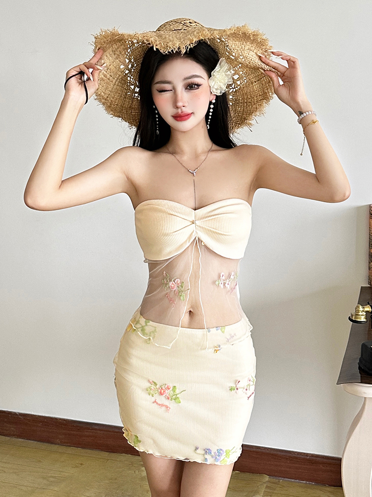 Sweet and Spicy Embroidered Mesh Strapless Top and Low-Waisted Skirt Two-Piece Set for Vacation - Eccentric Girl Style