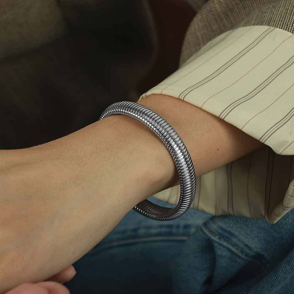 Vintage Gender-Neutral Minimalist Titanium Steel Snake Bone Bracelet - Retro European American Cold Style Accessory