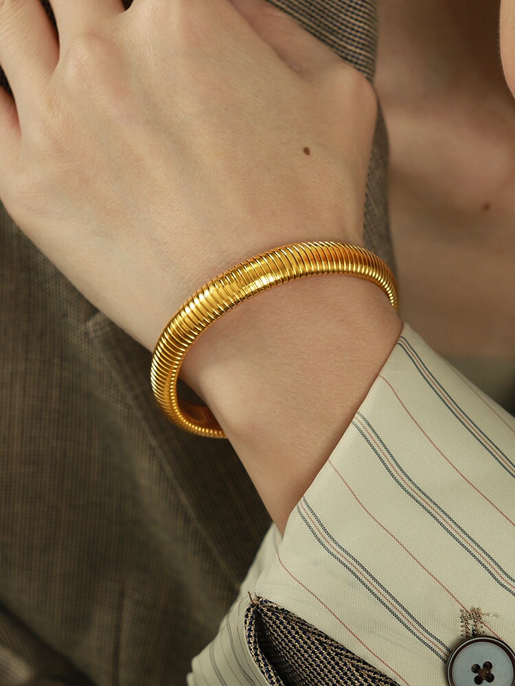 Vintage Gender-Neutral Minimalist Titanium Steel Snake Bone Bracelet - Retro European American Cold Style Accessory Vintage Gender-Neutral Minimalist Titanium Steel Snake Bone Bracelet - Retro European American Cold Style Accessory